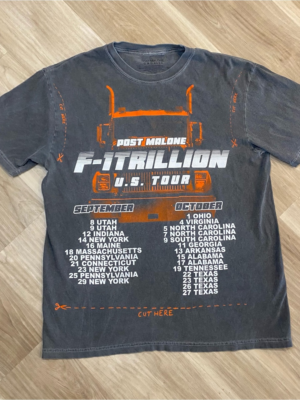 Post Malone Concert Shirt Mens Large F-1 Trillion US Tour 2024 Graphic Tee Gray